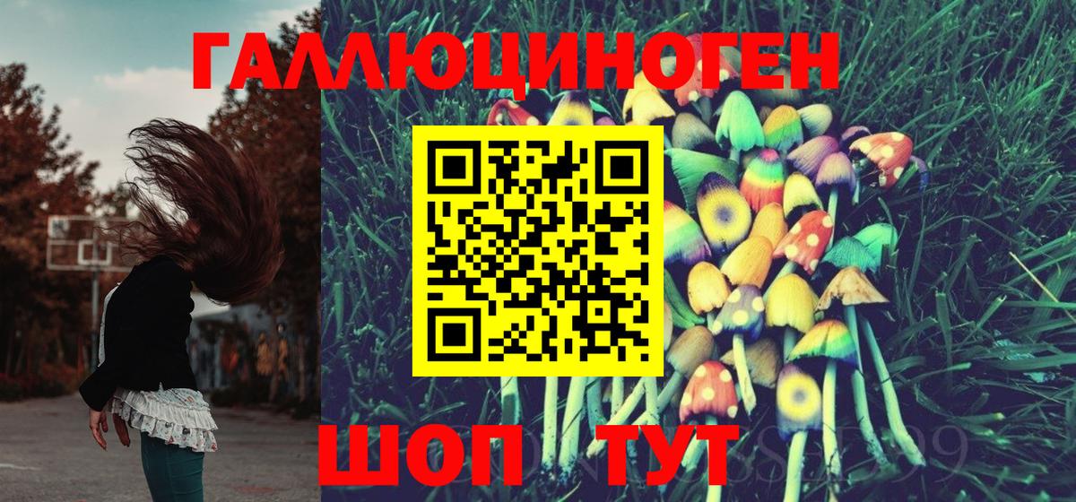Ессентуки  Галлюциногенные грибы мицелий  Вход с VPN  Галлюциногенные грибы мицелий 